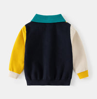 Load image into Gallery viewer, Baby Kid Boys Color-blocking Cartoon Sweaters Wholesale 221209277
