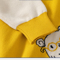 Load image into Gallery viewer, Baby Kid Boys Color-blocking Cartoon Sweaters Wholesale 221209277
