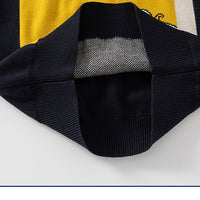 Load image into Gallery viewer, Baby Kid Boys Color-blocking Cartoon Sweaters Wholesale 221209277

