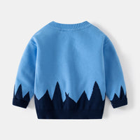 Load image into Gallery viewer, Baby Kid Unisex Color-blocking Cartoon Crochet Cardigan Wholesale 221209286
