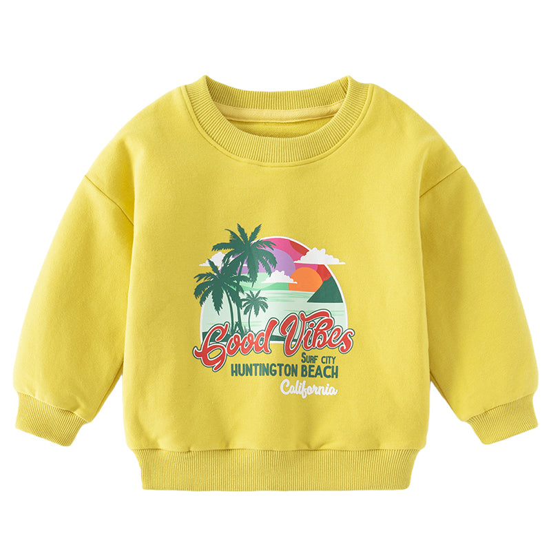 Baby Kid Boys Cartoon Print Hoodies Swearshirts Wholesale 221209349
