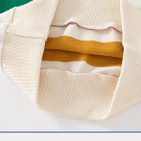 Load image into Gallery viewer, Baby Kid Boys Striped Color-blocking Hoodies Swearshirts Wholesale 221209353

