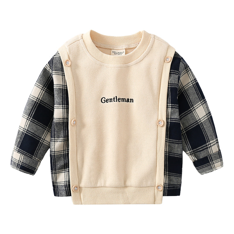 Baby Kid Boys Letters Color-blocking Checked Hoodies Swearshirts Wholesale 22120936