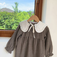 Load image into Gallery viewer, Baby Kid Girls Checked Dresses Wholesale 221214349
