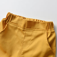 Load image into Gallery viewer, 2 Pieces Set Baby Kid Boys Animals Cartoon Print Shirts And Solid Color Shorts Wholesale 22121469
