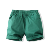 Load image into Gallery viewer, 2 Pieces Set Baby Kid Boys Beach Plant Print Polo Shirts And Solid Color Shorts Wholesale 221216224
