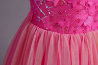 Load image into Gallery viewer, Kid Girls Color-blocking Butterfly Bow Birthday Party Princess Dresses Wholesale 221216234
