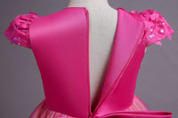 Load image into Gallery viewer, Kid Girls Color-blocking Butterfly Bow Birthday Party Princess Dresses Wholesale 221216234
