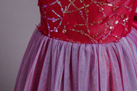 Load image into Gallery viewer, Kid Girls Color-blocking Butterfly Bow Birthday Party Princess Dresses Wholesale 221216234
