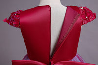 Load image into Gallery viewer, Kid Girls Color-blocking Butterfly Bow Birthday Party Princess Dresses Wholesale 221216234
