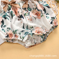 Load image into Gallery viewer, Baby Girls Flower Bow Print Rompers Wholesale 22121663

