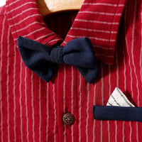 Load image into Gallery viewer, Baby Boys Striped Bow Jumpsuits Wholesale 22122050
