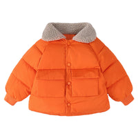Load image into Gallery viewer, Baby Kid Unisex Solid Color Jackets Outwears Wholesale 221221199
