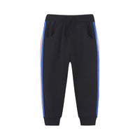 Load image into Gallery viewer, Baby Kid Boys Striped Pants Wholesale 221221242
