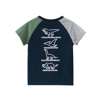Load image into Gallery viewer, Baby Kid Boys Letters Dinosaur Print T-Shirts Wholesale 221221284
