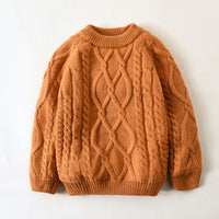 Load image into Gallery viewer, Baby Kid Unisex Solid Color Graphic Sweaters Wholesale 22122601
