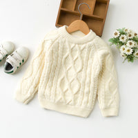 Load image into Gallery viewer, Baby Kid Unisex Solid Color Graphic Sweaters Wholesale 22122601
