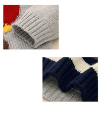 Load image into Gallery viewer, Baby Unisex Animals Crochet Sweaters Wholesale 22122920
