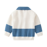 Load image into Gallery viewer, Baby Boys Color-blocking Cardigan Knitwear Wholesale 221229397
