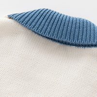 Load image into Gallery viewer, Baby Boys Color-blocking Cardigan Knitwear Wholesale 221229397
