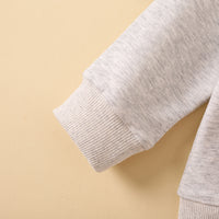 Load image into Gallery viewer, 2 Pieces Set Baby Kid Unisex Letters Embroidered Hoodies Swearshirts And Solid Color Pants Wholesale 230105645
