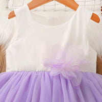 Load image into Gallery viewer, Kid Girls Color-blocking Dresses Wholesale 230107191
