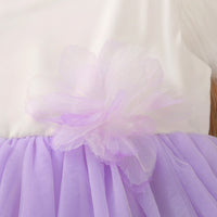 Load image into Gallery viewer, Kid Girls Color-blocking Dresses Wholesale 230107191
