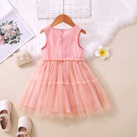 Load image into Gallery viewer, Kid Girls Color-blocking Lace Dresses Wholesale 230107192
