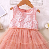 Load image into Gallery viewer, Kid Girls Color-blocking Lace Dresses Wholesale 230107192
