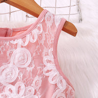 Load image into Gallery viewer, Kid Girls Color-blocking Lace Dresses Wholesale 230107192
