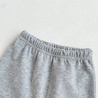 Load image into Gallery viewer, 2 Pieces Set Baby Unisex Cartoon Hoodies Swearshirts And Solid Color Pants Wholesale 230110244
