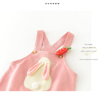 Load image into Gallery viewer, 2 Pieces Set Baby Girls Striped Tops And Animals Cartoon Jumpsuits Wholesale 230110271
