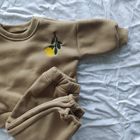 Load image into Gallery viewer, 2 Pieces Set Baby Kid Unisex Flower Fruit Embroidered Hoodies Swearshirts And Solid Color Pants Wholesale 23011091
