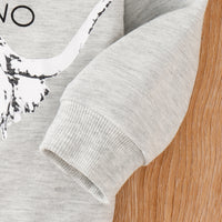 Load image into Gallery viewer, Baby Kid Unisex Letters Animals Print Hoodies Swearshirts Wholesale 23011097
