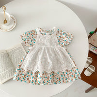 Load image into Gallery viewer, Baby Girls Flower Print Dresses Wholesale 230113422
