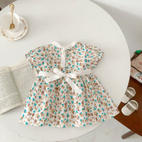 Load image into Gallery viewer, Baby Girls Flower Print Dresses Wholesale 230113422
