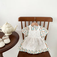 Load image into Gallery viewer, Baby Girls Flower Print Dresses Wholesale 230113422
