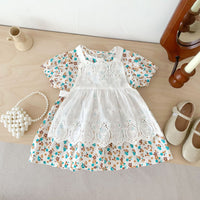Load image into Gallery viewer, Baby Girls Flower Print Dresses Wholesale 230113422
