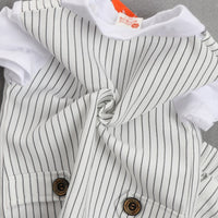 Load image into Gallery viewer, 2 Pieces Set Baby Kid Boys Dressy Striped Bow Shirts And Pants Suits Wholesale 23011405

