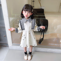 Load image into Gallery viewer, Baby Kid Girls Flower Embroidered Dresses Wholesale 230114196
