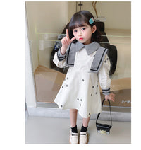 Load image into Gallery viewer, Baby Kid Girls Flower Embroidered Dresses Wholesale 230114196
