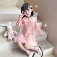 Load image into Gallery viewer, Baby Kid Girls Checked Dresses Wholesale 230114199
