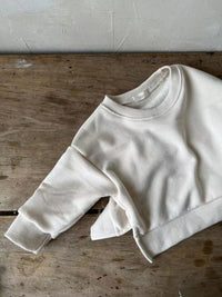 Load image into Gallery viewer, Baby Unisex Solid Color Hoodies Sweatshirts Wholesale 230114284
