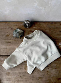 Load image into Gallery viewer, Baby Unisex Solid Color Hoodies Sweatshirts Wholesale 230114284
