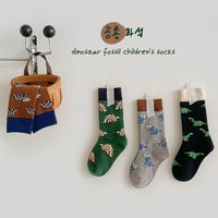 Load image into Gallery viewer, Boys Dinosaur Cartoon Accessories Socks Wholesale 230114286
