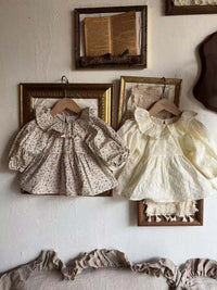 Load image into Gallery viewer, Baby Kid Girls Flower Embroidered Dresses Wholesale 230114355
