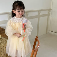 Load image into Gallery viewer, Baby Kid Girls Embroidered Dresses Wholesale 230114514
