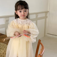 Load image into Gallery viewer, Baby Kid Girls Embroidered Dresses Wholesale 230114514

