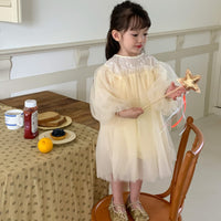 Load image into Gallery viewer, Baby Kid Girls Embroidered Dresses Wholesale 230114514
