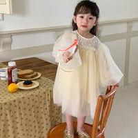 Load image into Gallery viewer, Baby Kid Girls Embroidered Dresses Wholesale 230114514
